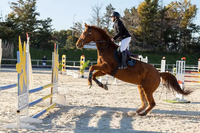 photographe cheval equitation cso istres le deven d121 img 0062