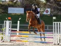 photographe cheval equitation cso istres le deven d121 img 0067