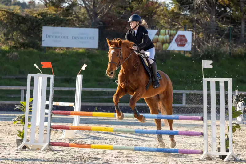 photographe cheval equitation cso istres le deven d121 img 0067