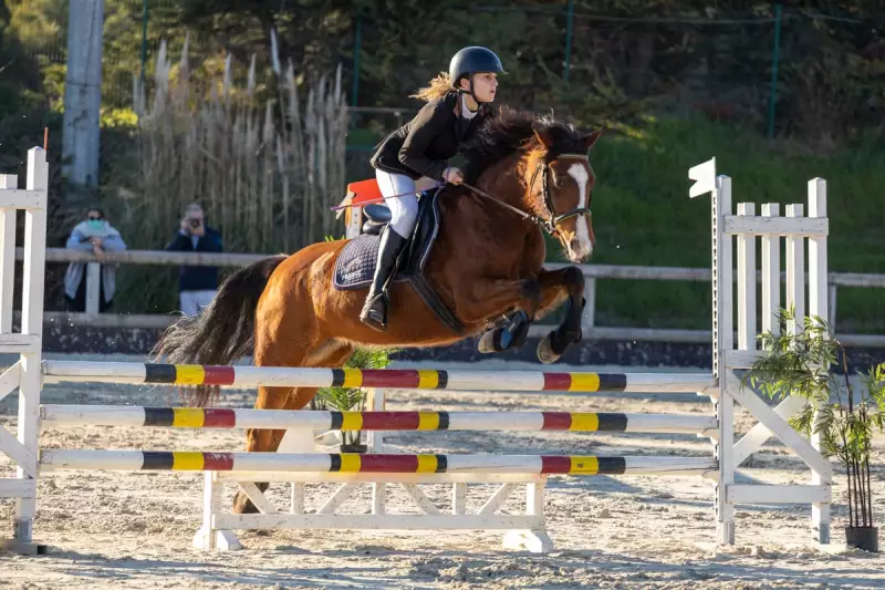 photographe cheval equitation cso istres le deven d121 img 0157