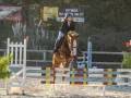 photographe cheval equitation cso istres le deven d121 img 0482