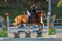 photographe cheval equitation cso istres le deven d121 img 0512