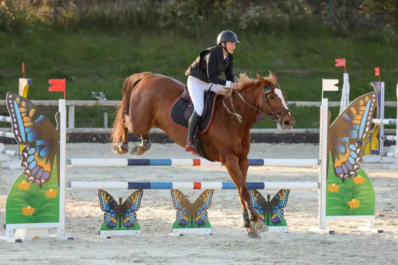 photographe cheval equitation cso istres le deven d121 img 0636