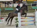 photographe cheval equitation cso istres le deven d121 img 0820