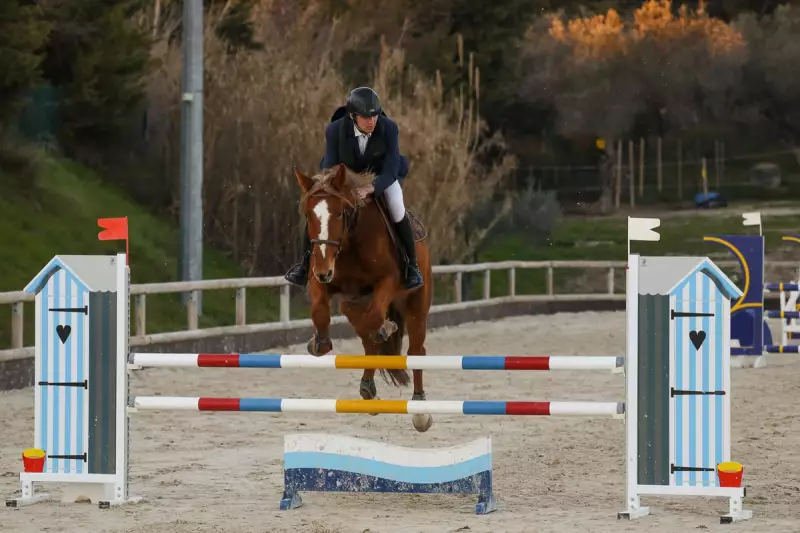 photographe cheval equitation cso istres le deven d121 img 0864