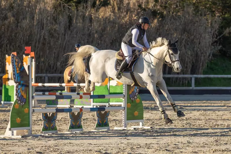 photographe cheval equitation cso le deven d121 img 0238