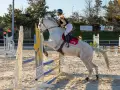 photographe cheval equitation cso le deven d121 img 0330