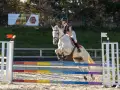 photographe cheval equitation cso le deven d121 img 0335